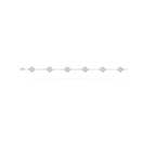 ¡®Timi¡¯CLOVER 6 MOTIF SILVER DIAMOND BRACELET